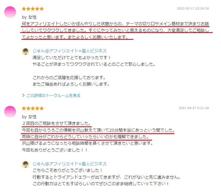 ブログアフィリエイトの通話で個別コンサルをします あなたのアフィリエイトの悩みをズバッと解決してください！ イメージ4