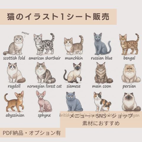 猫のイラスト1シート販売します チラシ・PR・SNS・ショップ・カード素材におすすめ イメージ1