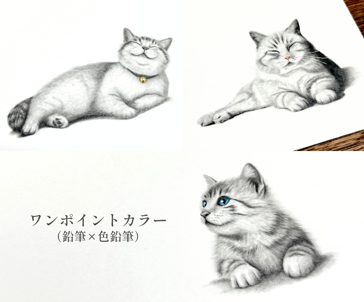 大切なペットとの思い出を鉛筆・色鉛筆画にします 大切な家族との幸せな時間を、温もりある作品として残します イメージ5