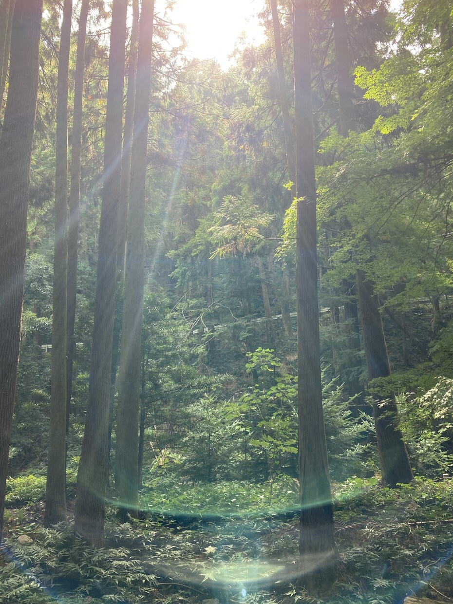 人生相談鑑定いたします あなたの悩み解決いたしましょう！苦しまなくて大丈夫話して！ イメージ4