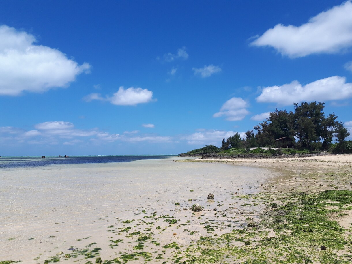 国内、海外旅行を格安でお得に行ける情報を教えます 世界を旅した経験であなたにベストな旅を提案します！！ イメージ1
