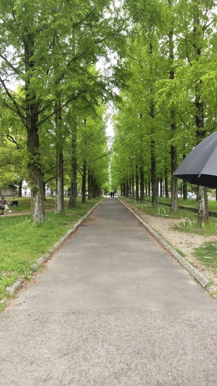 頑張ってるあなたを応援します あまり誰にも応援されないことでも全力で応援します！ イメージ1
