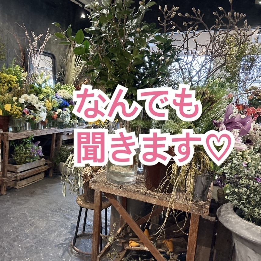 元看護師が何でもお話聞きます ♡電話が苦手な方、ゆっくり話す内容を考えたい方へ イメージ1