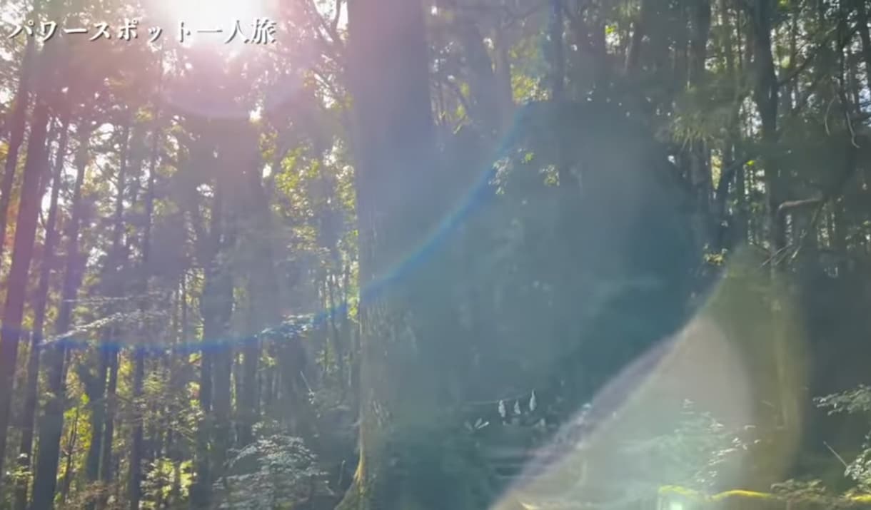 亡くなった大切な方(ペット)のお気持ちお伝えします 大切なあの人、愛犬、愛猫は最期に私に何が伝えたかったのだろう イメージ2