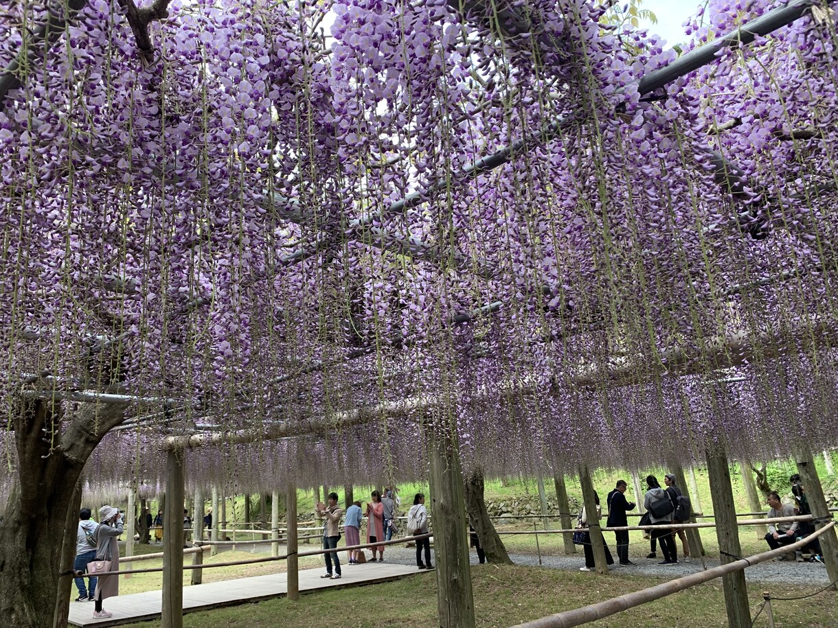 あなたに最適の旅行のプランを一緒に考えます 旅行初心者のあなたの旅行を、最高の思い出に！ イメージ1