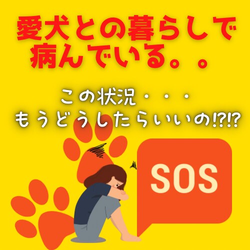 犬との暮らしで病んでいる人のお話お聞きします 今の状況どうしたらいいの?!となっている方、まずはご相談を。 イメージ1