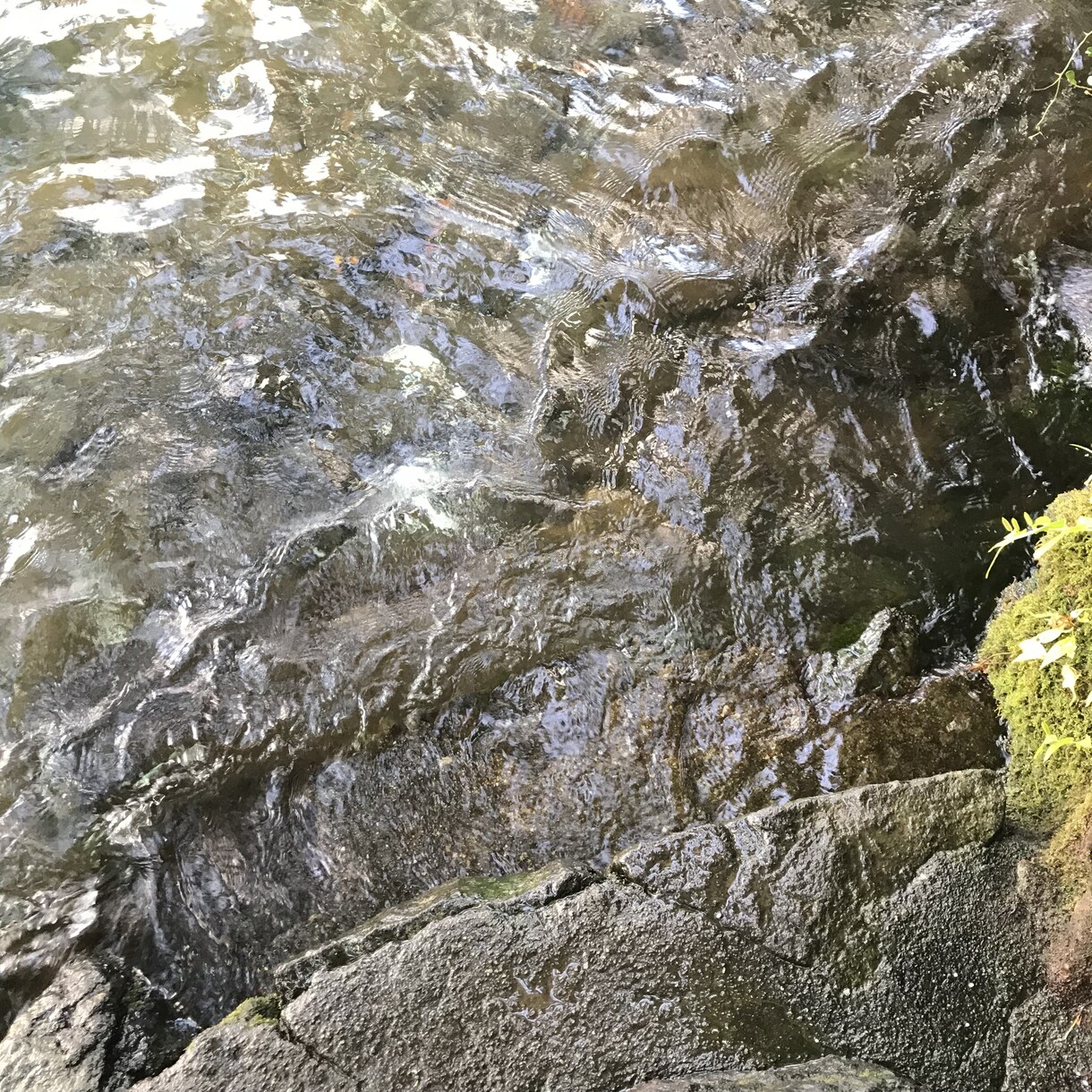 良縁の最強神社！箱根神社・九頭龍神社代理祈願します 白龍神社例大祭祈願☆事業運・良縁・家庭運に効果あり！ イメージ4