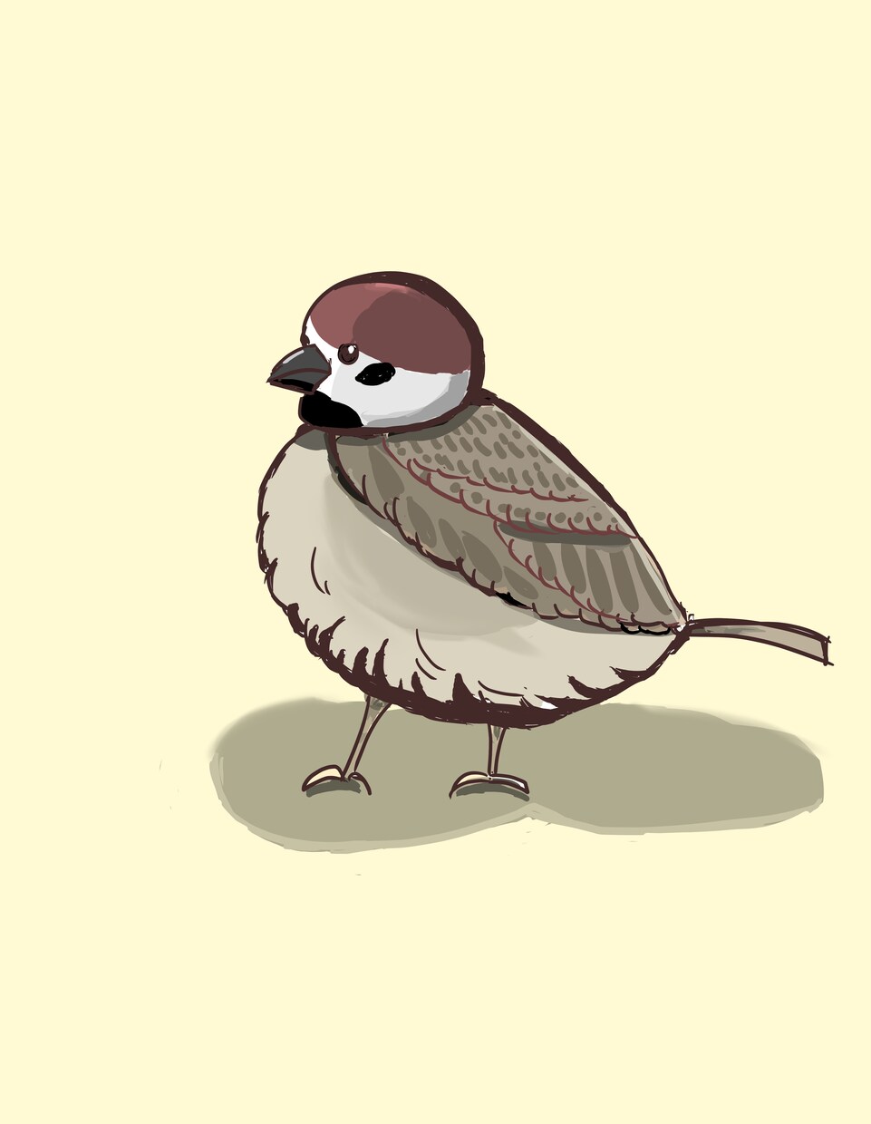 主にペットや相談可で他の動物も描きます ふわっとした可愛い動物絵を描きます。 イメージ1