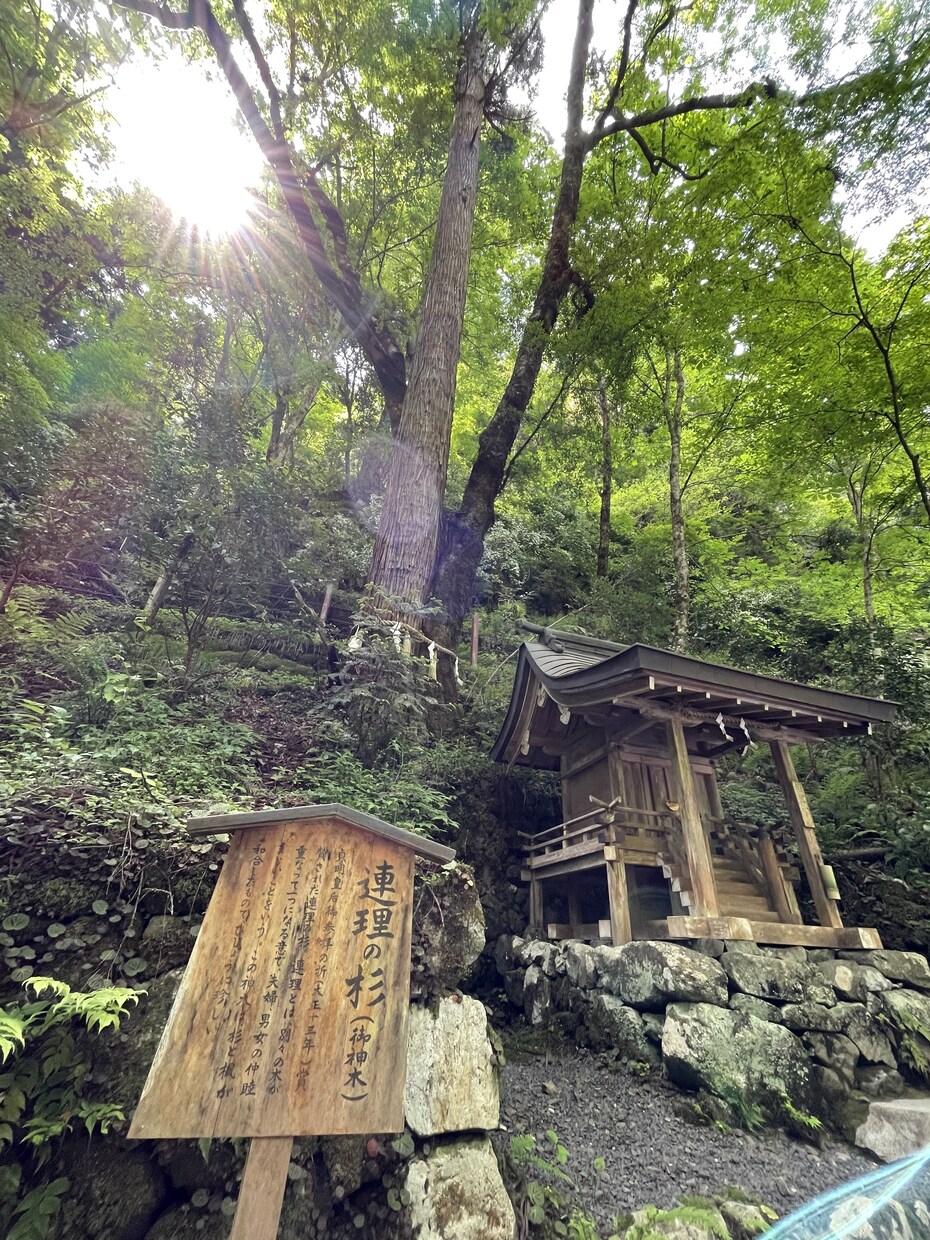 あなたの心の倉庫になります 秘密厳守！あなたのどこにも向けられない気持ち受け止めます！ イメージ3