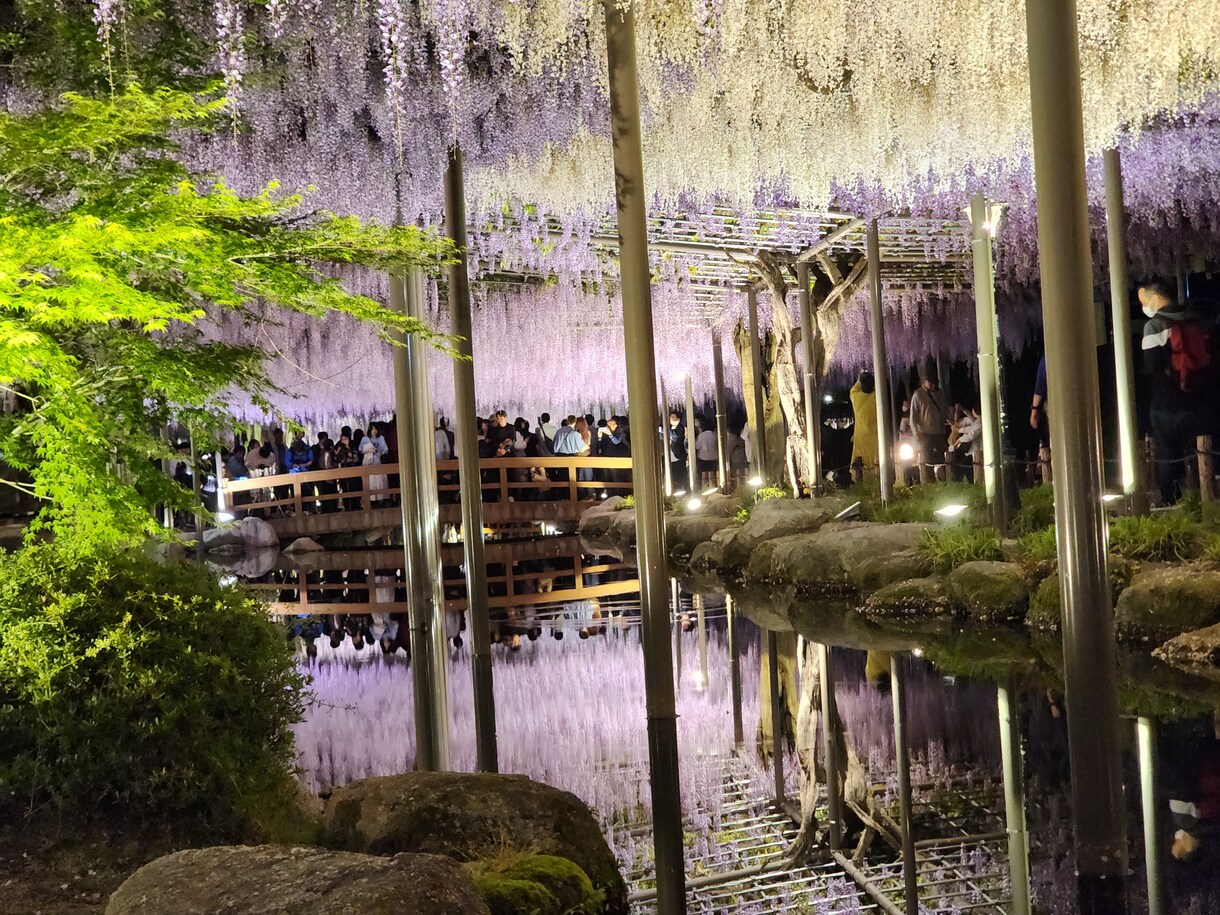 あなたの撮影した写真を編集します 周りと差が着くひと工夫!あなたの写真をワンランクアップ!! イメージ3