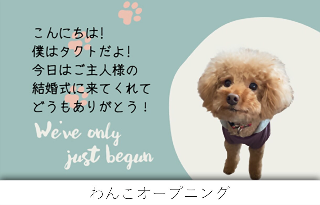 AMOの現役プロが結婚式ムービーを作ります ゲストを巻き込む大爆笑のオープニングです イメージ6