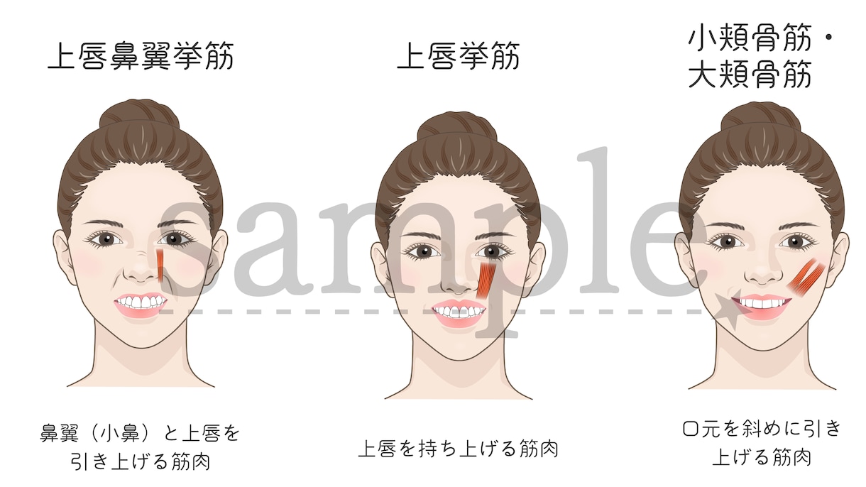 伝わる歯科イラスト描きます AI・JPEG・PNG・PDF対応 イメージ3