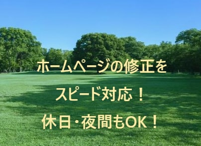 ホームページ修正代行致します スピード対応！低価格・高品質サービス！もちろんスマホ対応！ イメージ1
