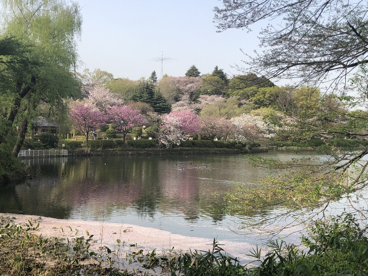 話せばきっと楽になる！丁寧にあなたの悩み聞きます 失恋/片想い/不倫の相談に優しく寄り添います！☕️ イメージ3