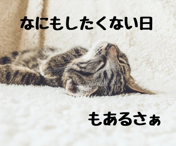 愚痴を一度吐き出してスッキリ出来るようにお聞きます ⭐️一旦お話して冷静になってから旦那さんと向き合いませんか？ イメージ3