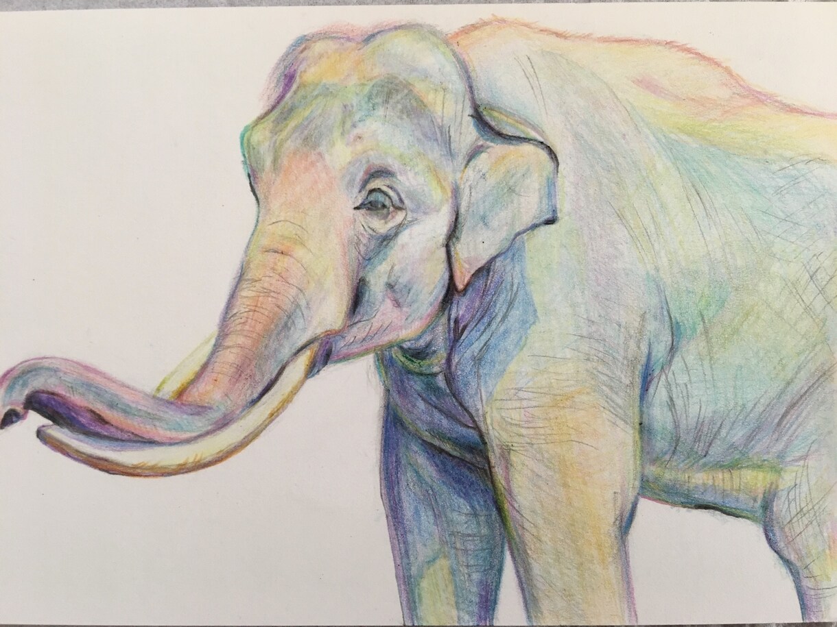 あなたの大切な人、ペットを絵画にします 色鉛筆画　ポストカードサイズです。心を込めて制作致します。 イメージ8