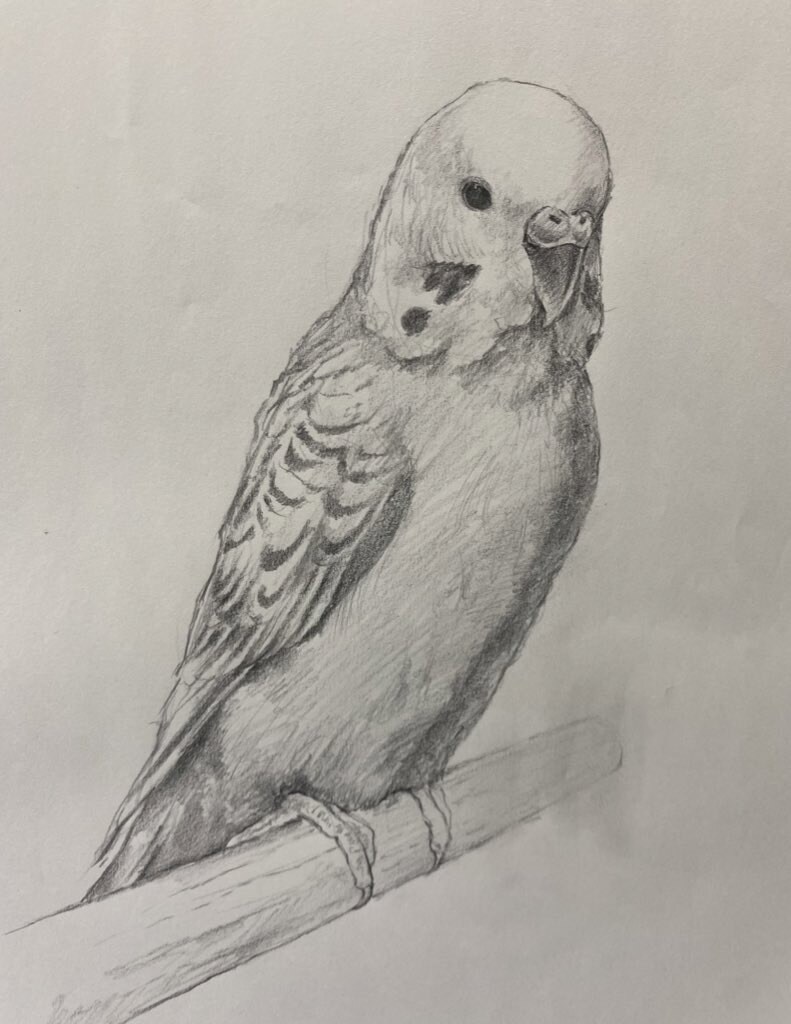 鉛筆画を描きます あなたの日常を絵にして記録してみませんか イメージ2