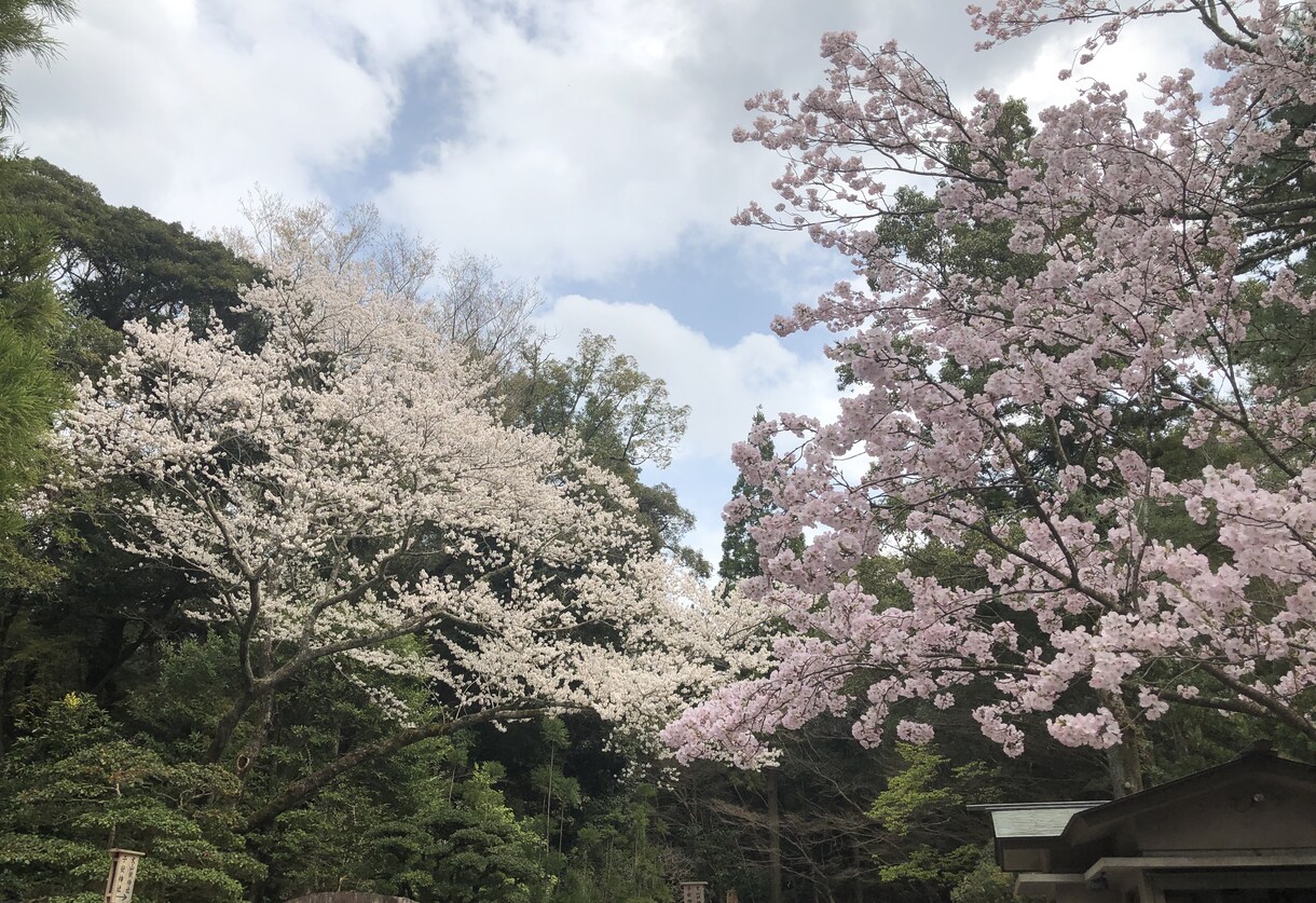 学業なんでもお話し聞きします 一人で抱え込まずお気軽にお声掛けください イメージ1