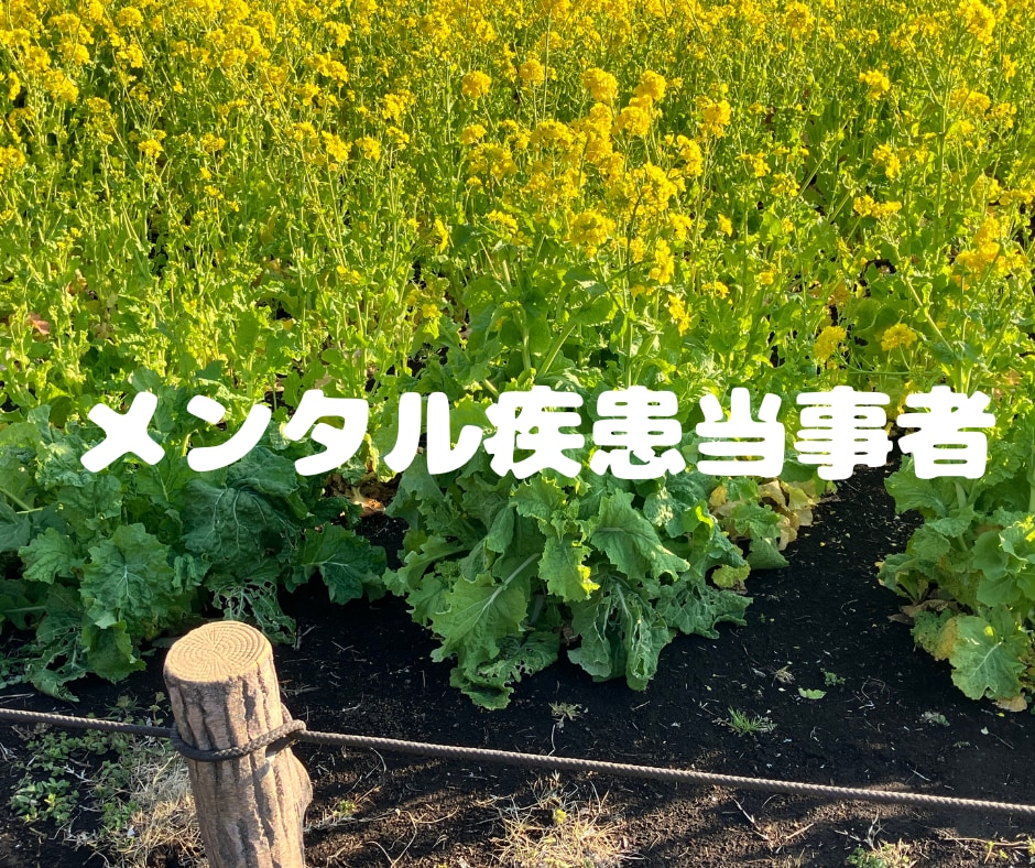 1分からOK!メンタル疾患当事者が相談に乗ります 選べるチャット相談サービスで気軽に相談 イメージ2