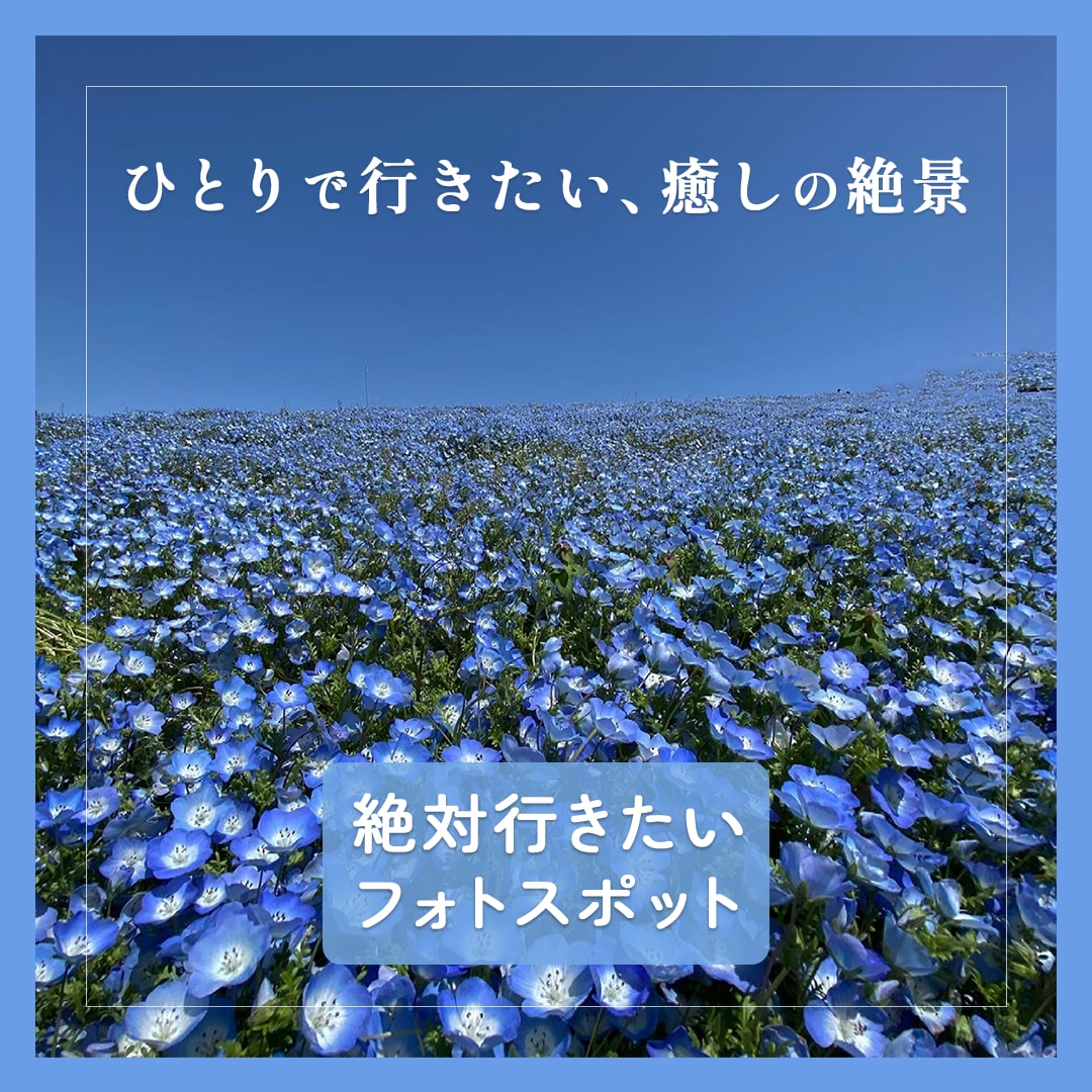見やすく、分かりやすく。世界観を大切にします 情報を整理し、配置と余白を整え、目に止まるバナーを作ります イメージ8