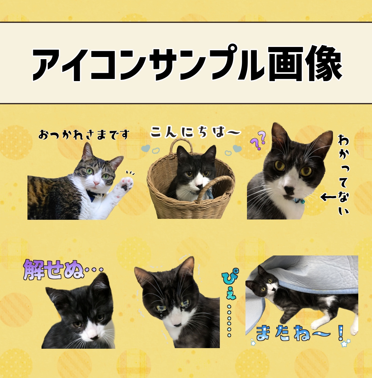 ペットのお写真でLINEスタンプ8個制作します 作成～申請までお任せください♪ イメージ2