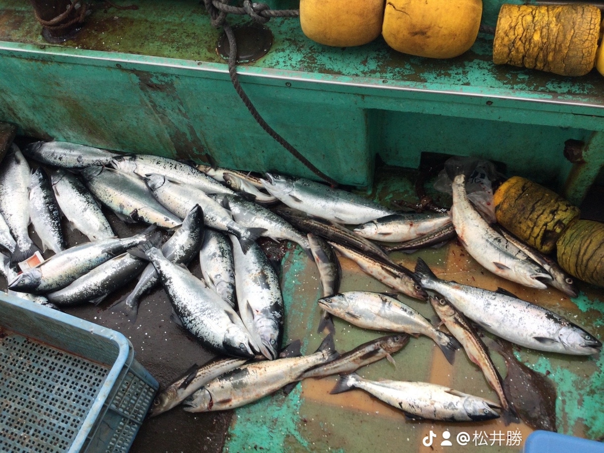 ボート釣りノウハウ教えます 釣り歴30年プレジャーボート乗ってます。 イメージ2