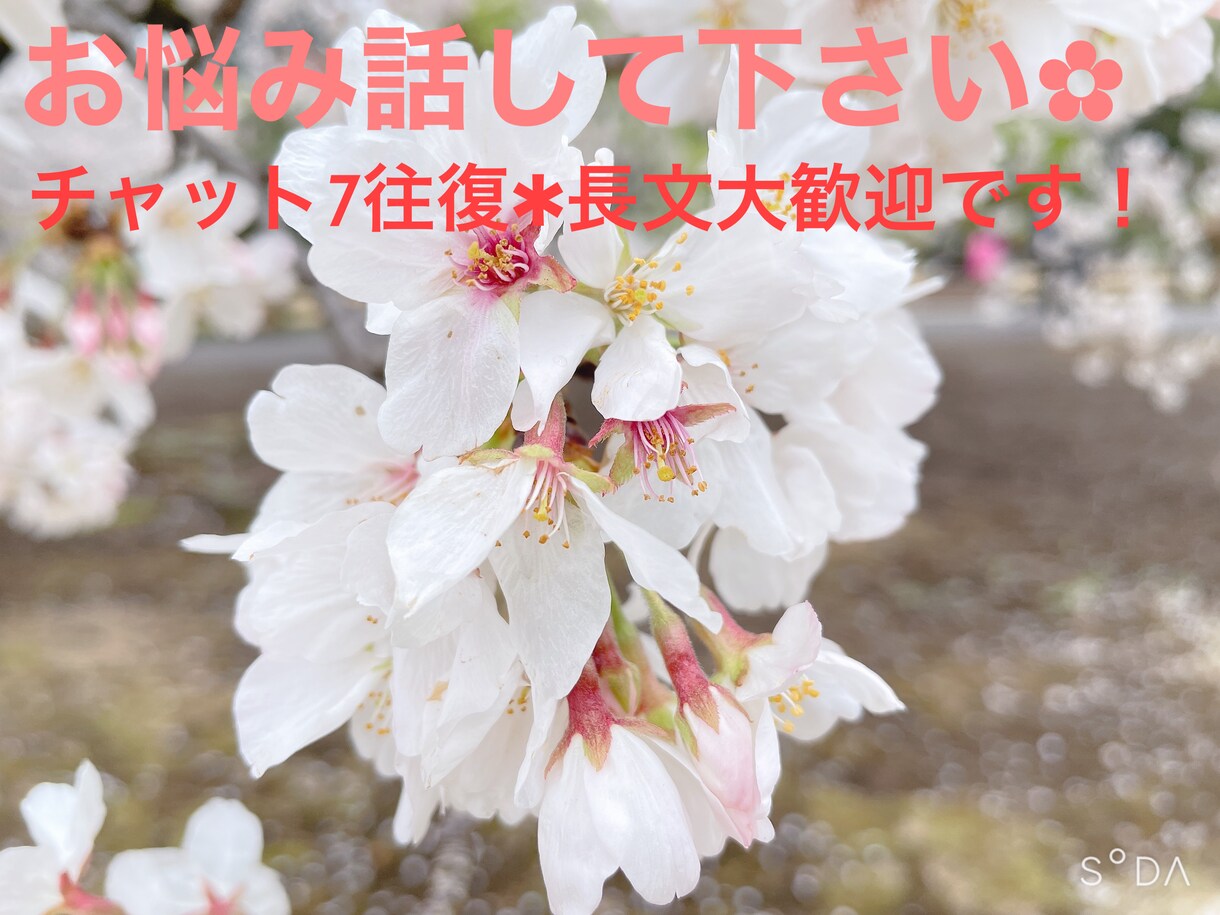 何でもご相談下さい✨あなたの悩み何でも聞きます 心が少しでも軽く、すっきり出来るよう全力を尽くします！ イメージ1