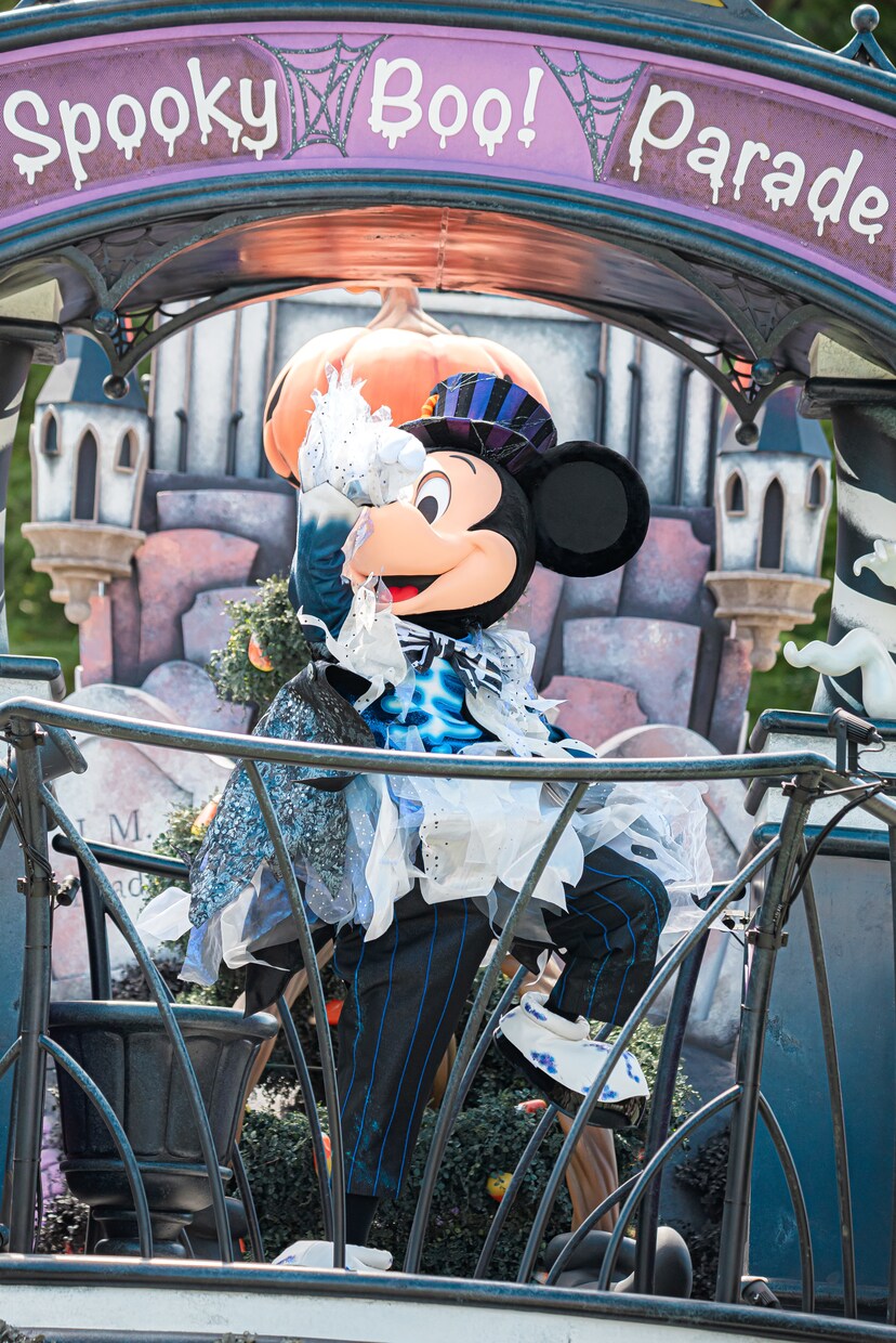 ディズニー写真について様々なことを教えます ディズニーのここはどういう設定で撮ったらいいのか等 イメージ2