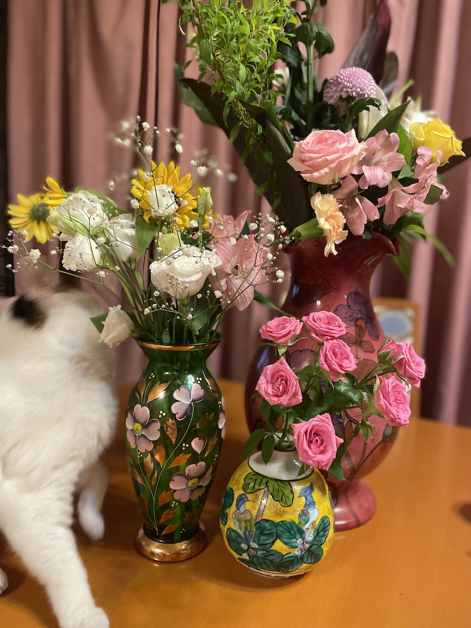 海外プロバレエダンサーがアドバイスいたします プロとして経験してきたことをお悩みがある皆さんに共有します イメージ2