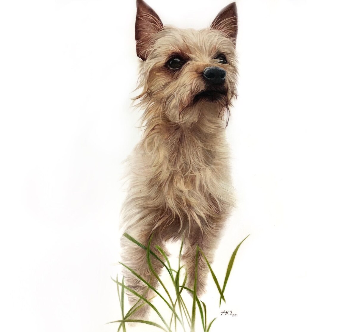あなたのペット・犬・猫などの似顔絵を描きます 写真のようなリアルな あなたのペットのイラストを製作します イメージ7