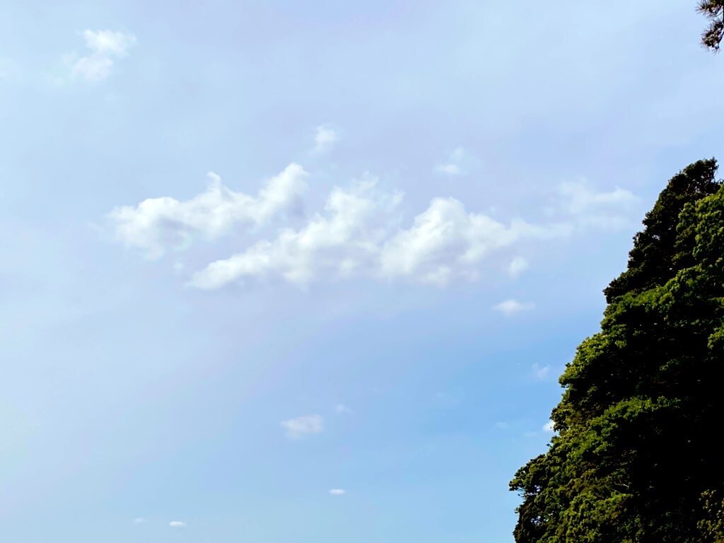 スピリチュアルパワー占います 神社仏閣巡り趣味なサイキッカーの霊感占い イメージ2