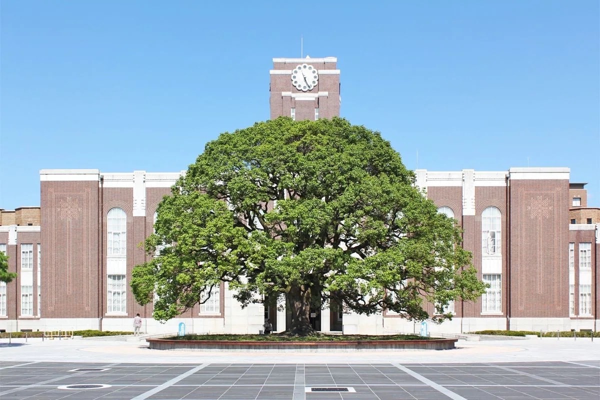 京大卒の元塾講師が、数学を教えます 具体的な問題の解法、数学に関するお困りごとに対して回答します イメージ1