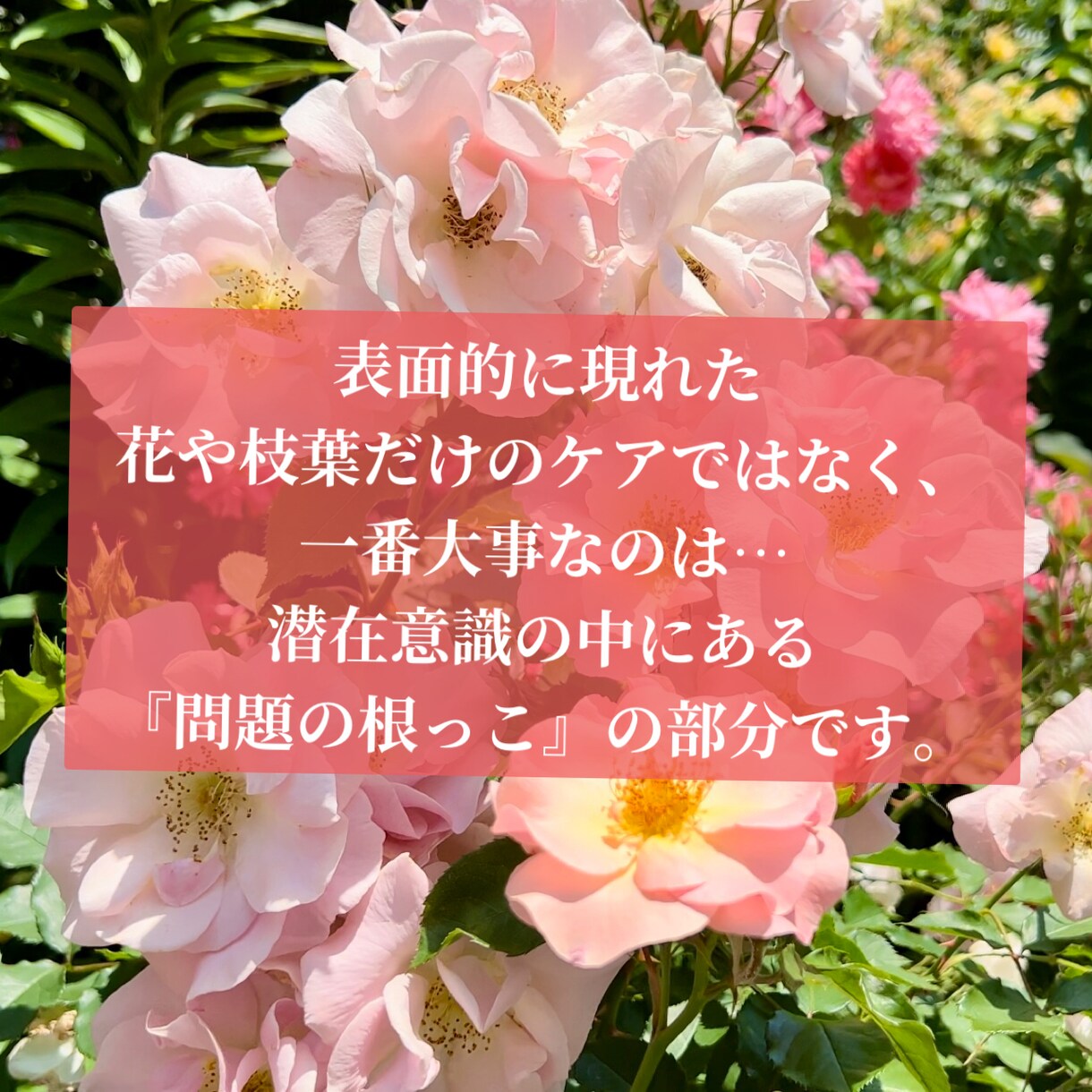 初心者歓迎！プロがヒプノセラピーでお悩み解消します 有資格者が対応♡安心丁寧・根底から癒し解決！ イメージ5