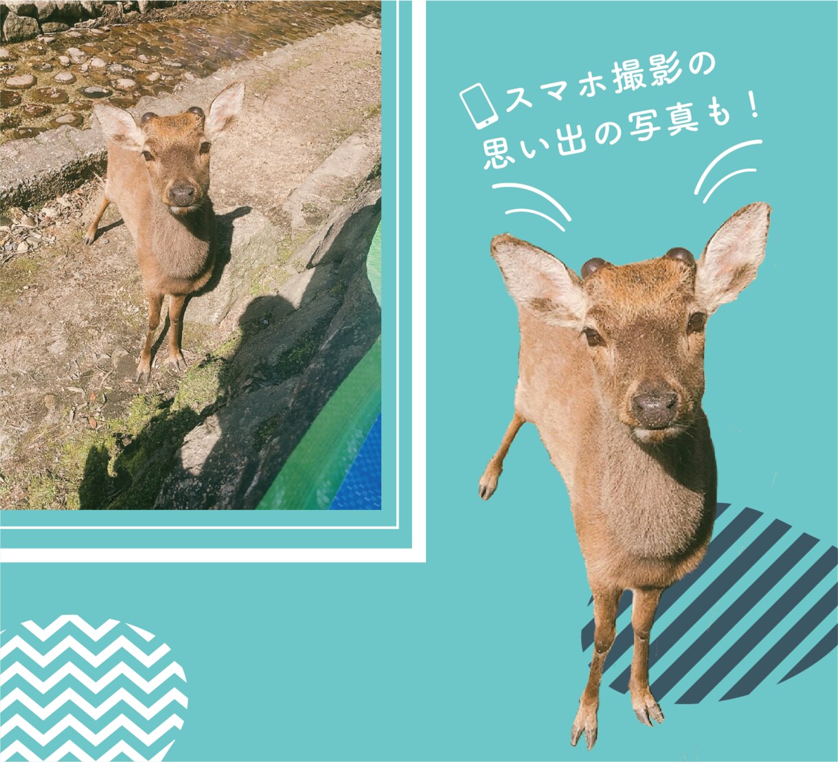画像・イラストの切り抜き作業致します 画像を必要な形に切り抜きます！白背景・色背景変更可 イメージ4