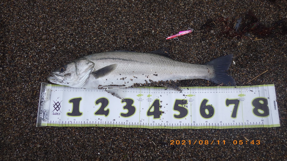海釣りで魚を釣りたい初心者の方へコツ教えます ファミリーフィッシングでお子さんに魚を釣らせたい方なども イメージ7