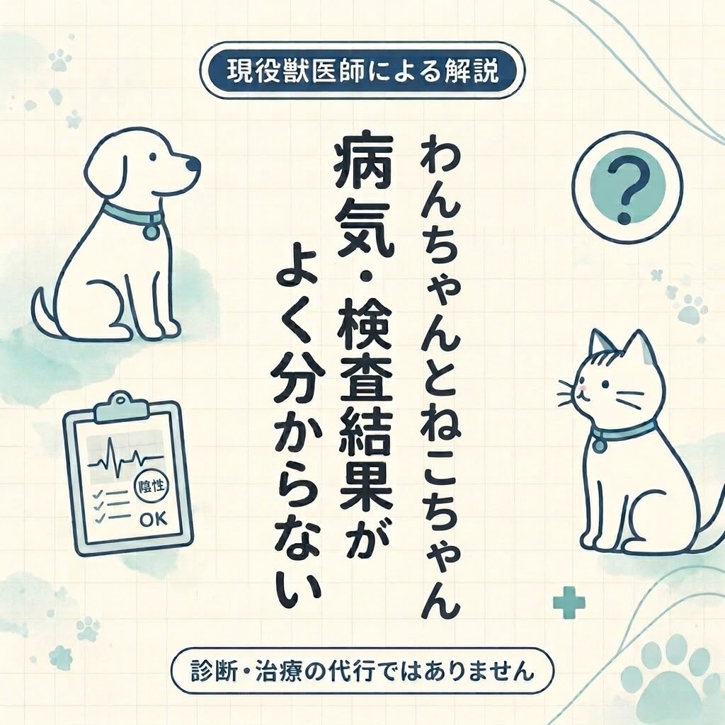 犬猫の病気・検査結果をやさしく解説します 病院で聞きそびれた疑問を整理し、次の一歩を明確に  イメージ1