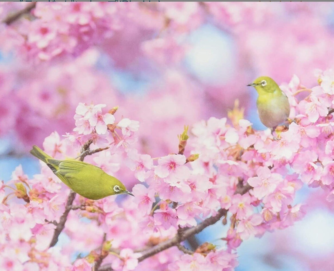 なんでも聞きます 愚痴、不平不満聞いてほしい！こと。吐き出しましょう♪ イメージ2