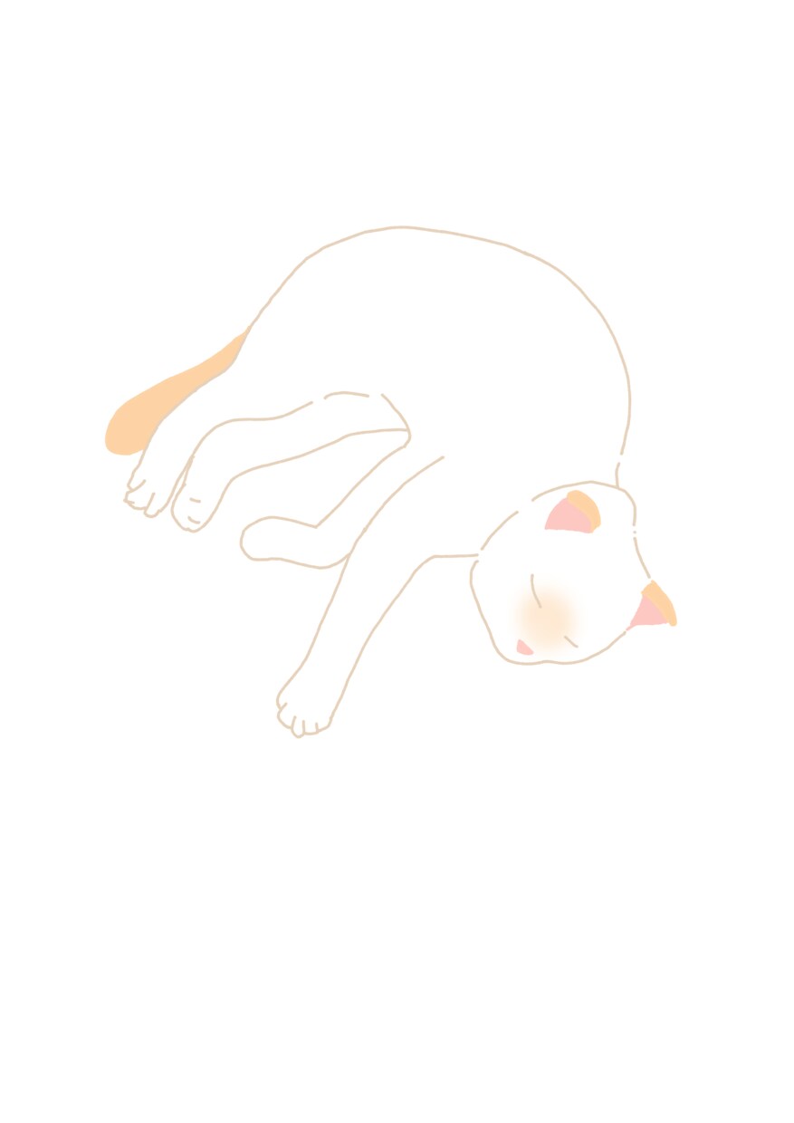 ねこのデフォルメイラスト描きます 性格などをお聞きしてその子にあったイラストお描きします イメージ8