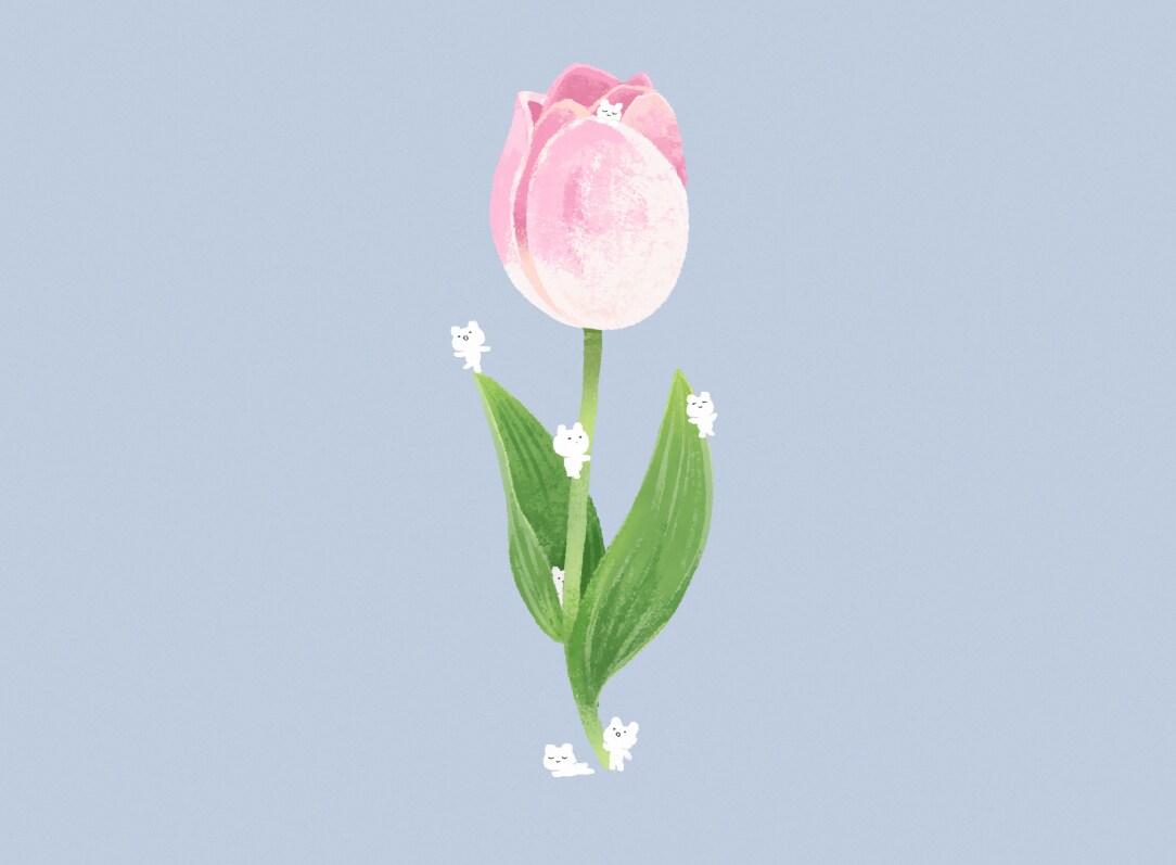 発信の雰囲気づくりに使える絵本風一枚絵を描きます ＊サービス開始記念 5名限定のモニター価格となっています＊ イメージ3