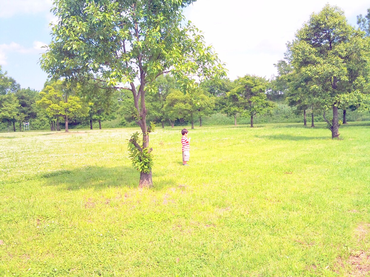 【あなただけの人生や恋のストーリーをお話します】ダウジングやタロットを使って、あなたに寄り添います。 イメージ3