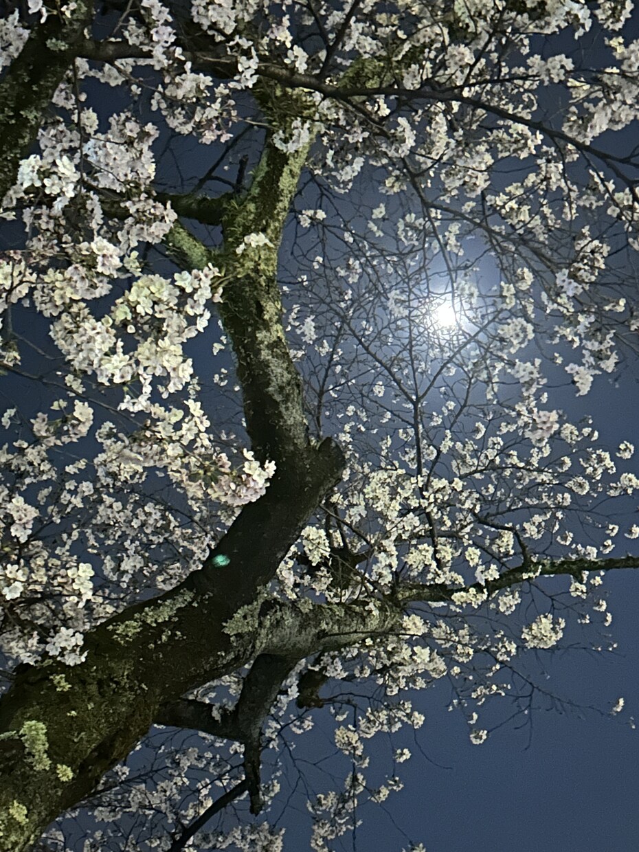 つらい、苦しい、逃げたいなどの気持ちに寄り添います あなたの思いを言葉にし、やさしく理解を支えます。 イメージ2