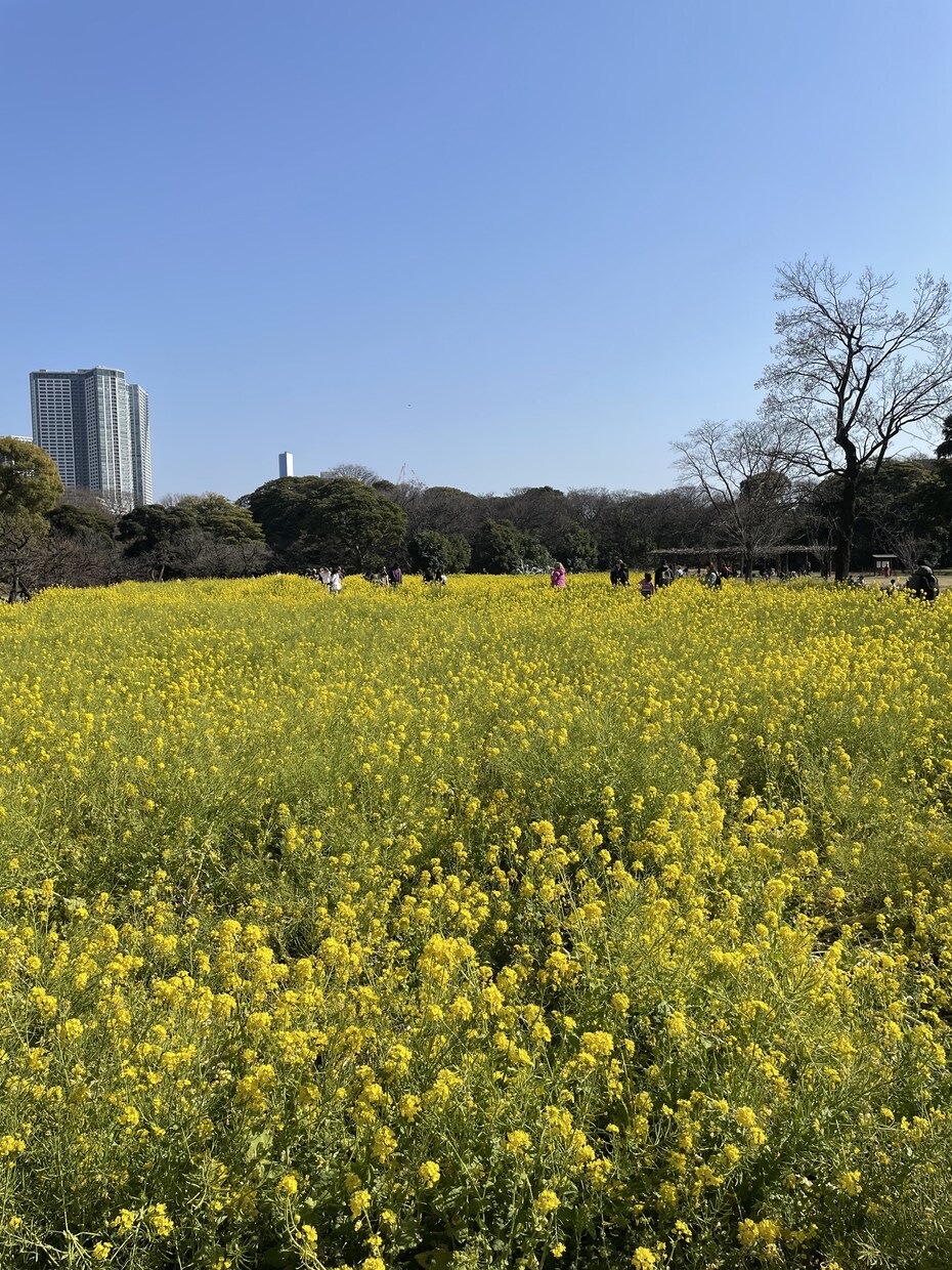 デートプランを考えて記事を執筆します 年間400食外食するマンが現地取材に基づくデートプランを執筆 イメージ5