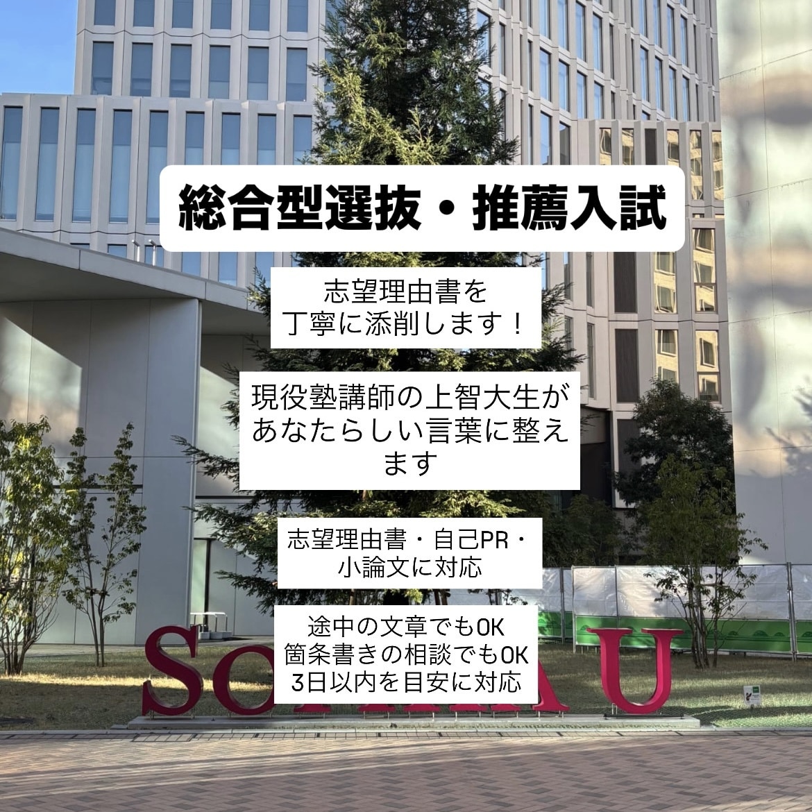 推薦入試の文章を添削します 塾講師の上智大生が、伝わる文章に整えます イメージ1