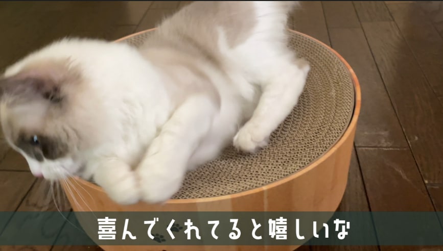 Youtube動画の文字入れします VLOG/ゲーム実況/メイク動画/購入品紹介なんでも！ イメージ2