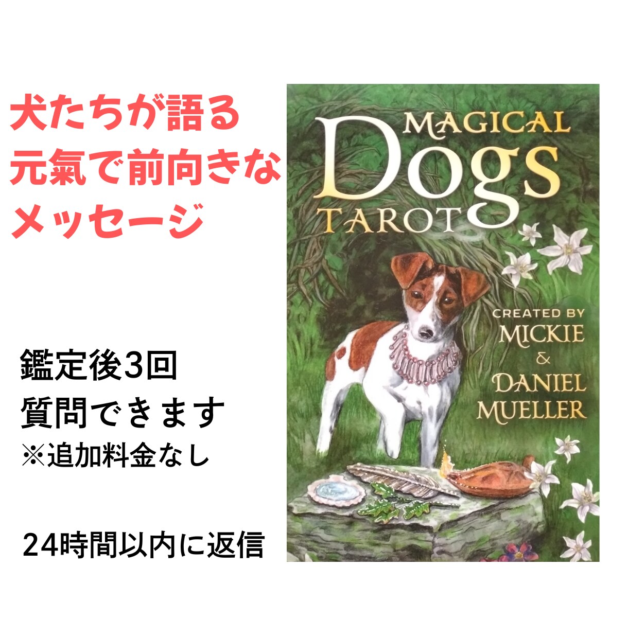 マジカルドッグスタロットで占います カードに描かれた犬たちが、率直なメッセージを伝えてくれます イメージ1