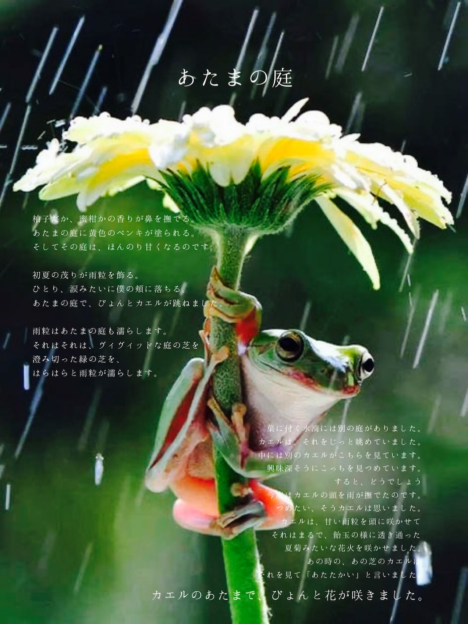繊細な、色のある美しい詩を届けます 伝えたい心、思いがあるあなたへ。 イメージ4