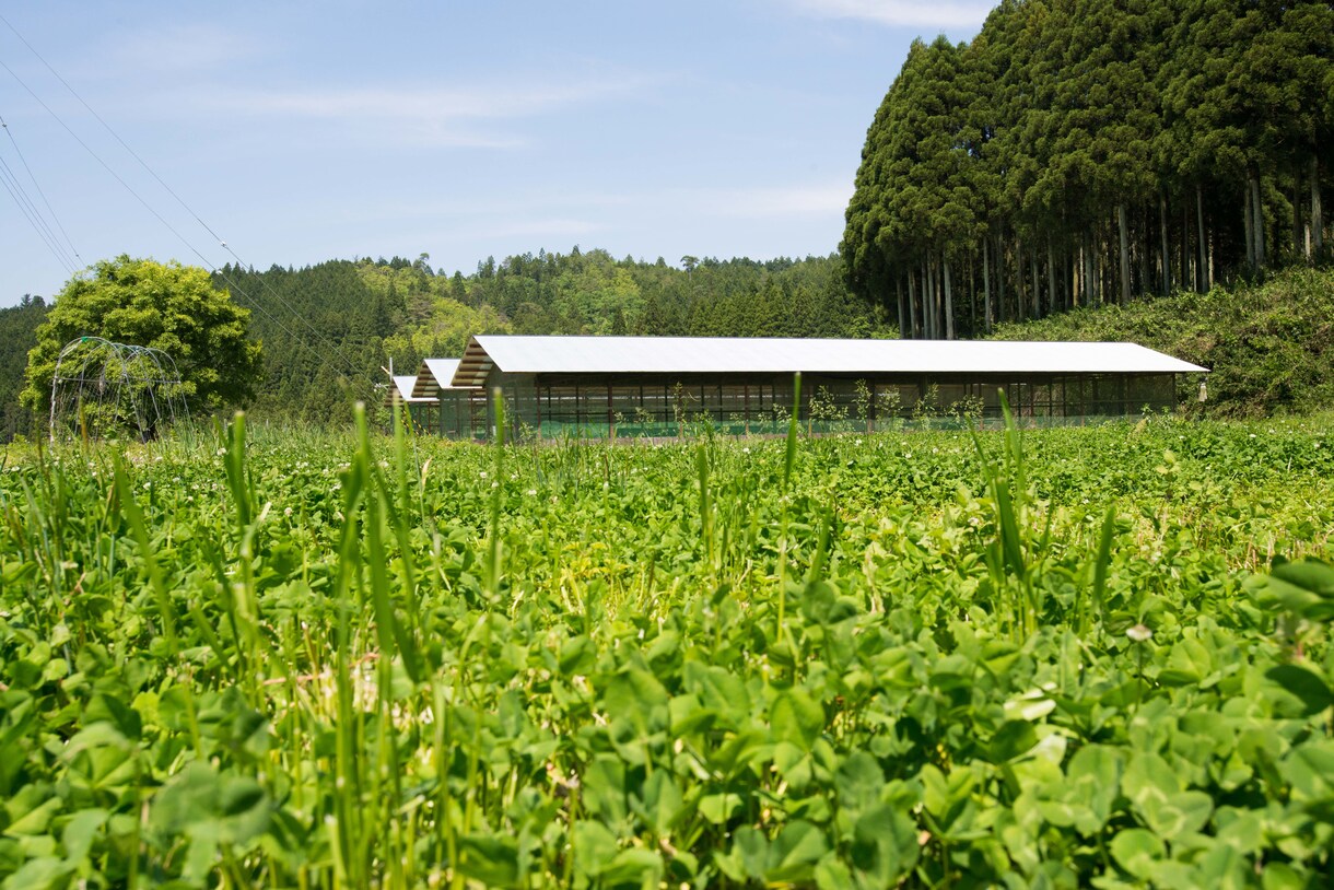 プロの農家が新規就農のご相談承ります 農業で生きていきたい方お待ちしてます！！ イメージ5