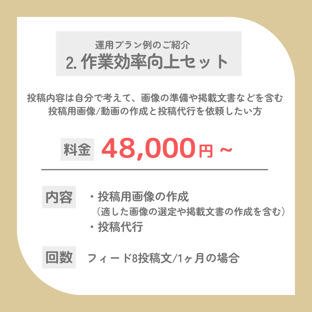実績100名以上！SNS運用代行をします Instagram,X,Tiktok運用対応可能です イメージ4