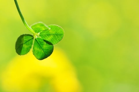 ８世代前までの先祖（２５５人）の先祖供養を行います スターシード向☆ご利益☆開運☆子宝☆エネルギーボディが整う☆ イメージ2