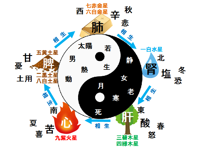 東洋医学と運命星☆あなたの陰陽五行体質を鑑定します チェックシートの合計点を教えて下さい【陰陽五行説と体質改善】 イメージ2
